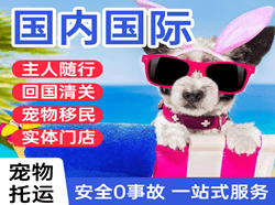 永兴机场快运国际宠物托运 【国